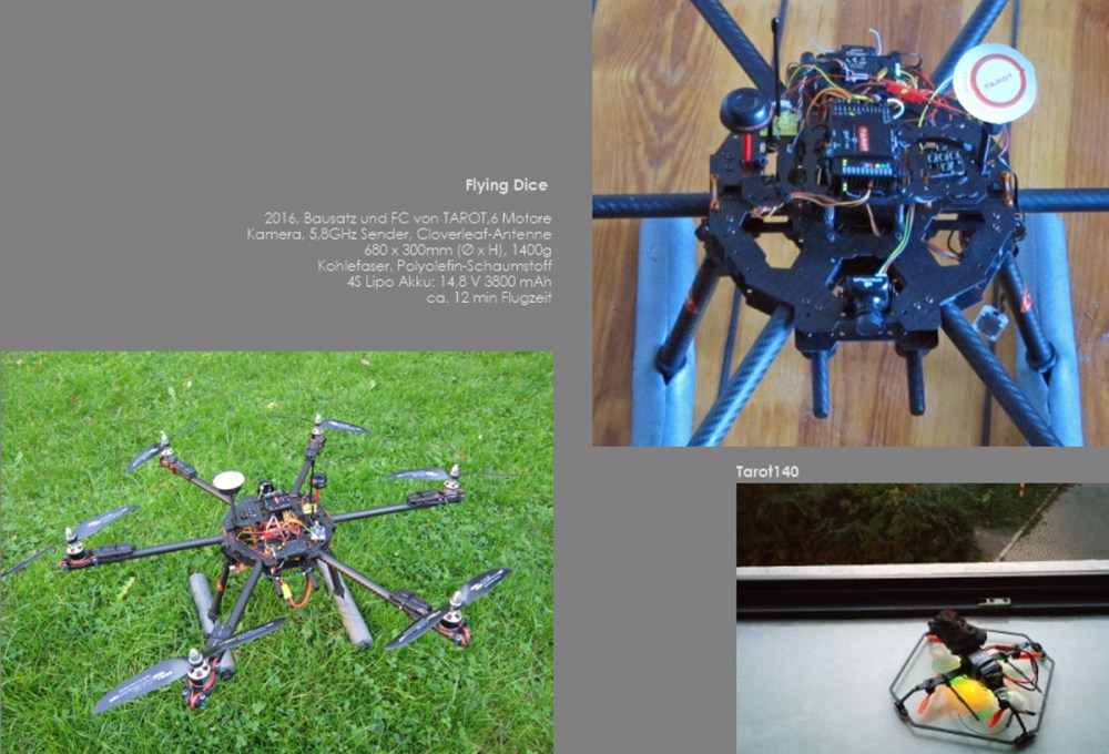 meine Insektoide22 01