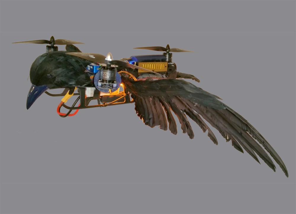 TriAngel-Pticon-Mestre 09 freigestellt klein